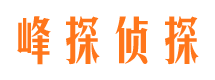 丰城市侦探公司